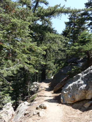 Fantastic singletrack.