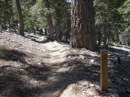 On to the PCT now and some of the best singletrack in SoCal.