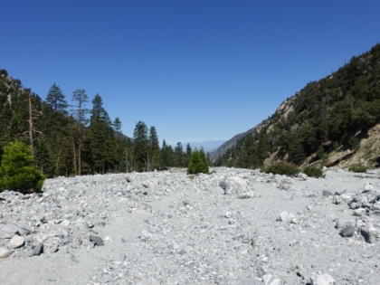 The firt time I've seen the Mill Creek bed totally dry. Definitely a dissapointing sight.