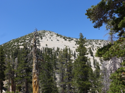 Almost above the treeline. You can see the trail ahead traversing below the ridgline.