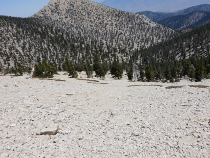 Looking downhill from the trail. This was definitely one of the scariest traverses I've done in the snow. It's steeper than it looks, and it's probably about 1,000' to the bottom of the slope. And when everything is covered in snow, it really increases the sense of vertigo.
