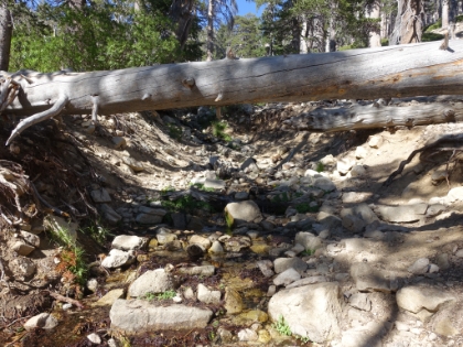 High Creek. The last backpacking camp before the summit.