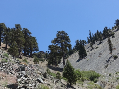 The fireroad is a long, rather boring hike that makes up over half the total distance for this route. And it's usually the most crowded route to the top. That's one of the reasons most people prefer the Baldy Bowl (Ski Hut) trail, or Register Ridge for those that know about it. But things get more interesting as you approach Baldy Notch and the ski lodge at the top of the lift.