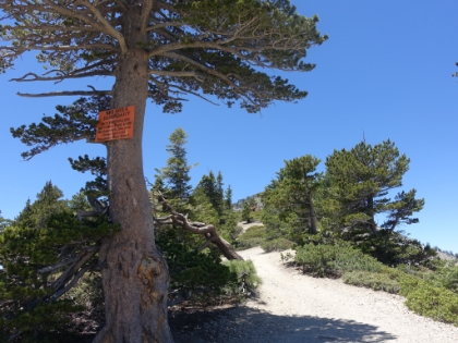 Finally the end of the ski area and the start of the singletrack!