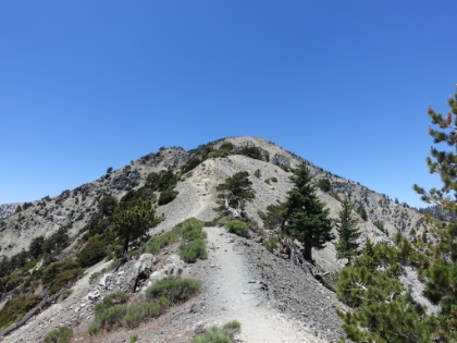 The boring fireroad is more than made-up for by the next couple miles of epic ridge trail on the Devil's Backbone.