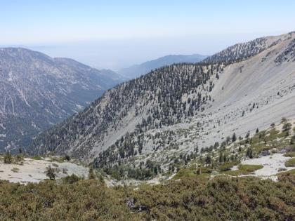 You can see the Baldy Bowl (Ski Hut) trail traversing across the bottom of the bowl.