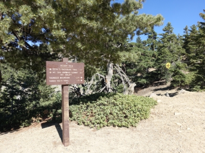 Ready to continue on now. The "trails" in this area are mostly a combination of fireroad and ski runs.