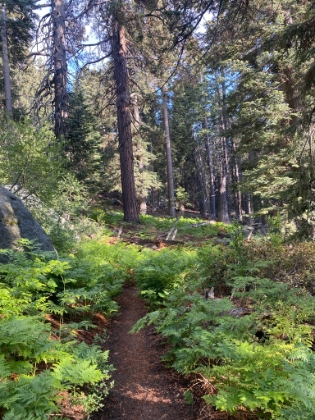 A smooth trip down, though my heels were killing me. End to the first leg of the inadvertent 3 Week challenge.