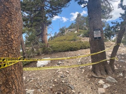 The San Bernadino Peak trail is still closed from the El Dorado fire. Fortunately it doesn't look like the ridgeline was too badly hit.