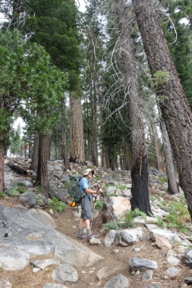 Getting up near 6,000' and into the trees.