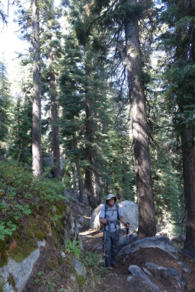 Some great forest single track as we briefly follow the PCT.