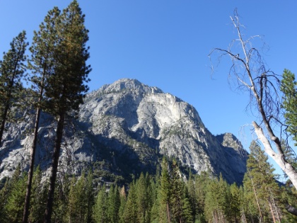 Fantastic granite cliff views start almost immediately. Some of the peaks here are over 3,000' above us.
