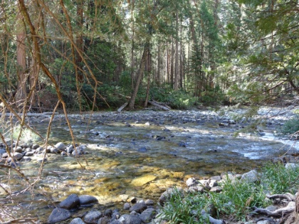 The trail heads up Paradise Valley following the South Fork of the Kings River, which still has plenty of water even in this record dry year.