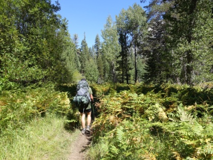 Still plenty of dense green at the end of September in this dry year.