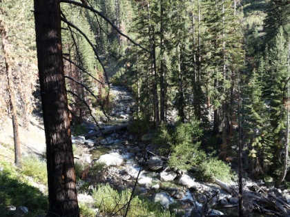 Woods Creek still roaring strong. Before long, we're getting close to our 5:00pm target time, and we start searching for a campsite.