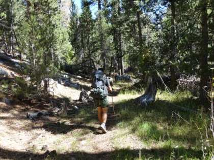 Hiking through the meadows below Castle Domes approaching the junction to Pinchot Pass.