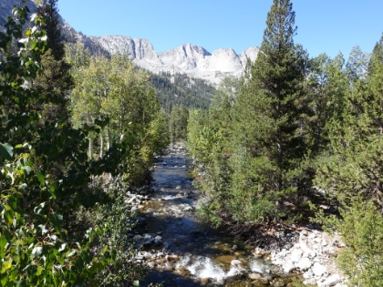 The view down Woods Creek from on top of the bridge.