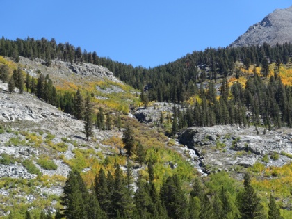 Despite the dry year, there are still cascades flowing down the canyon along the way.