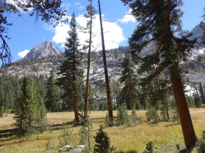 Back down to the canyon floor below the tree line with meadows and forest again.