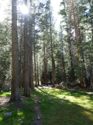 The sites at Junction Meadow. It's an amazing campsite, but it's still really early in the day. We decide we'd rather keep going and make tomorrow a shorter hike.