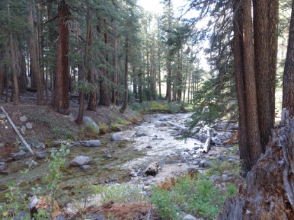 Before long, we come across another campsite right on Bubbs Creek. The tent would be right here! It would be a perfect site, but it's still pretty early. We made much better time coming down from Glen Pass than we anticipated. We decide to take the gamble, continue on, and hope for another good site further down the trail.