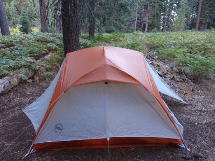 We make it to the site with time to spare. Not quite as nice as the previous sites, but that's the risk you take when you keep pressing on. At least we will have fewer miles tomorrow. Still a great site though, nestled admist a sea of ferns. We also had a deer walk right into the site.
