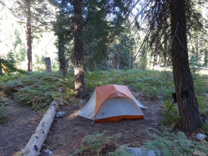 Morning admist the ferns. Since we covered so many miles yesterday, we could afford to really take our time getting-up and heading out today.