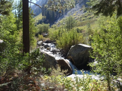 Back on the trail, following Bubbs Creek almost the entire way.