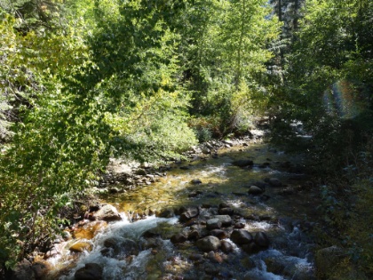 Looking downstream from one of the bridges over Bubbs Creek.