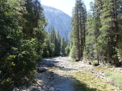 View up the Kings River from the bridge. Still a lot of water, but definitely not the roaring river it normally would be.