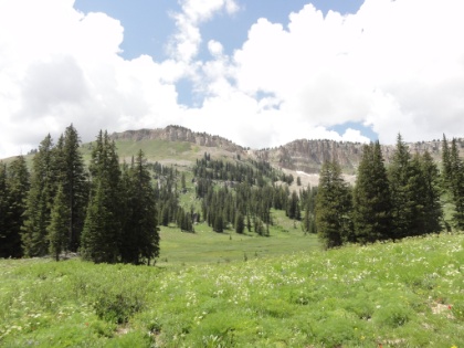 Very near the top of the tree line. The pine trees give way to alpine meadows.
