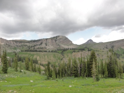 Interesting glacier carved rock everywhere.