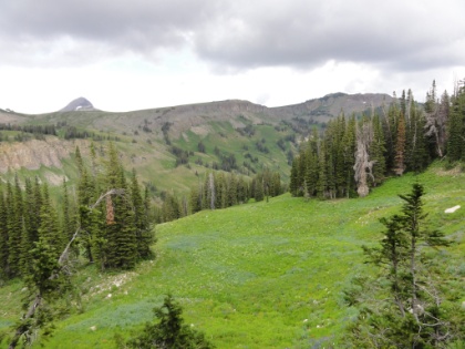 Again, an amazingly flat picture of an expansive view. Colorful meadows falling into Granite Canyon.