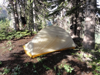 I had to pitch tent in the rain, but managed to get a petty nice setup. I'm nestled in a small group of trees about 10-15' from the edge of the Shelf and the dropoff into the canyon below. Probably not a good spot if you're a sleepwalker!