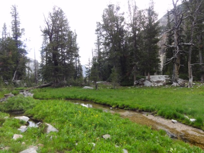 Cascade Canyon is definitely one of my favorite areas of the trail so far.