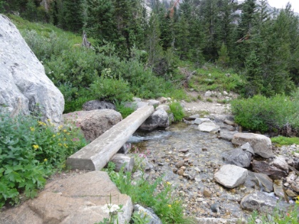 Water everywhere. By this time, I'm well into the South Fork Cascade camping zone. Unlike Death Canyon Shelf, this zone has marked sites, but there are only 14 sites in almost 5 miles. A few are grouped within a quarter mile or so of each other, while others are as much as a mile apart.