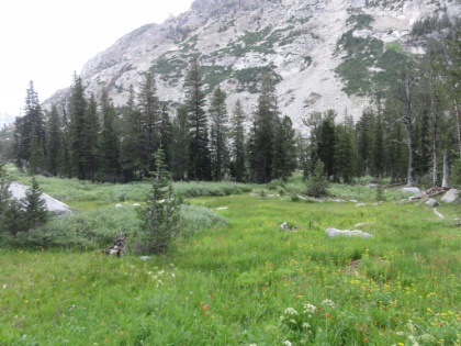 Green everywhere. Unfortunately though, it's starting to rain again. I really needed to get as far into the campzone as possible because the next day was the toughest by far of the four. So, the more mileage I could cut the better.