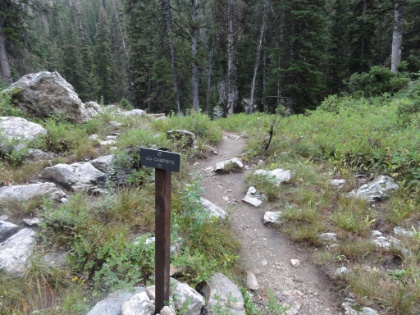 I was down to the very last campsite in the zone. This is the trail leading to the site. Fortunately it was open, what a relief! Very cool when your campsite has it's own, private trail.