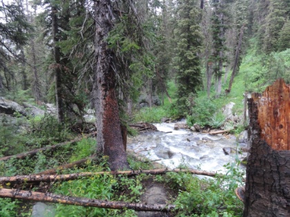 Downstream from the campsite. I make another great freeze dried meal on my trusty JetBoil and then call it a night.