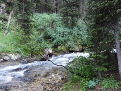 After the storm, looking upstream from the campsite. The old pad for the site was right down here on the edge of the stream, but it's closed for plant restoration. My tent is setup on the new pad, which is on a nearby ledge just uphill from the creek.