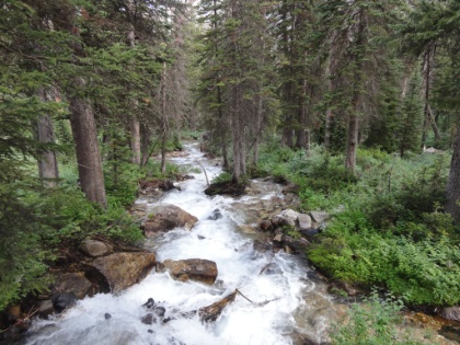 I want to live right here.