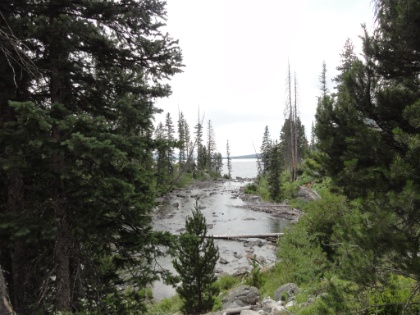 The river draining into Jenny Lake.
