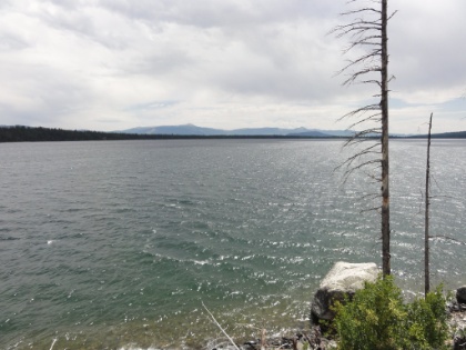 On the shore of Jenny Lake.