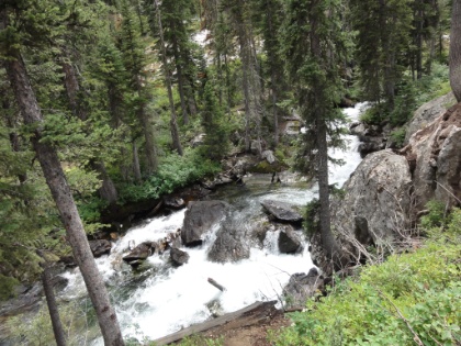 Cascade Creek roaring down from below Hidden Falls. This is the same creek (though a bit larger now) that I camped alongside two nights ago.