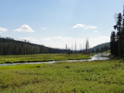 A river runs through it. Iconic Yellowstone scenery is everywhere.