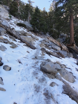 There's snow on the trail for most of the last mile. It's a thin layer of snow over hard pacled ice, which isn't too bad on the way up, but was treachorous on the way down. 1500'/mile on ice can be a challenge.