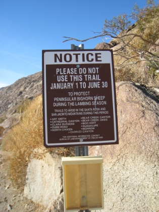 Another famous sign for those familar with the route. The trail is closed January through June to protect the Bighorn Sheep. It is not technically illegal though, and a lot of people still use it. Regardless, it is late November, so I shouldn't be disturbing any pregnant sheep.
