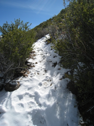 The trail is steep and the snow is slippery. Fortunately there have been a few hikers here since the snow, so I have tracks to follow, and toe-in steps to use.