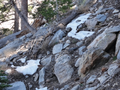 The first official patch of snow at about 7600'.