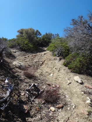 This steep section of trail was covered in snow the last couple times I was here.